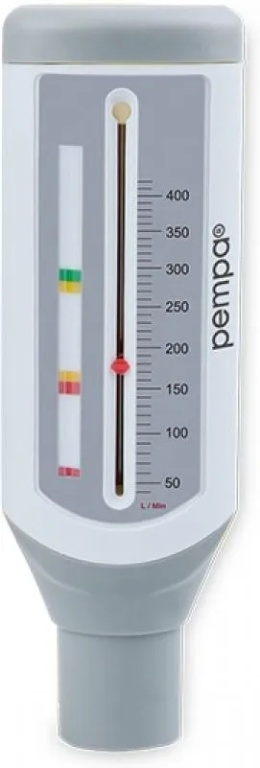 Pikflometr dla dzieci PEMPA